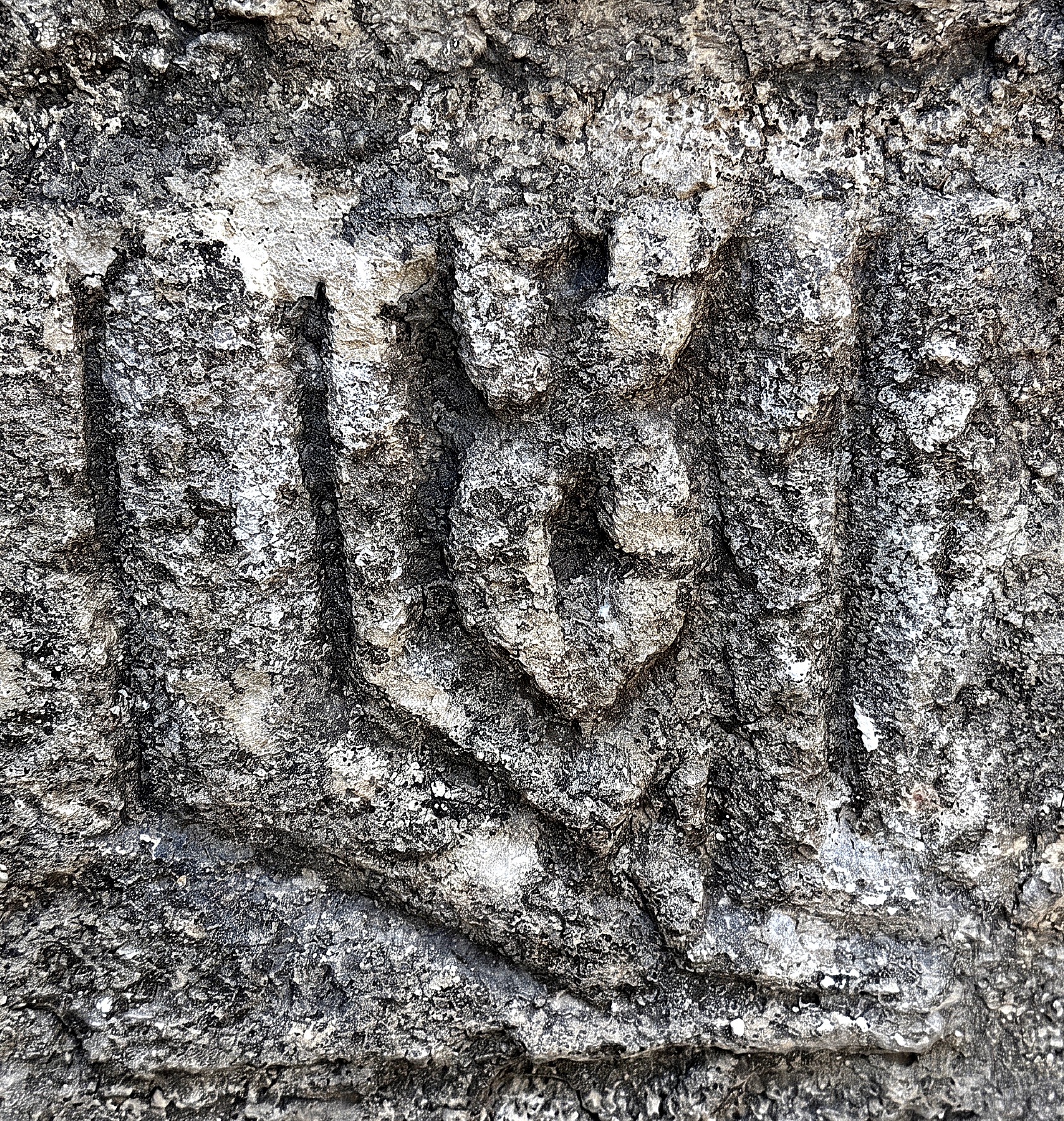 A finely carved relief stone set into the façade between the main entrance and the right ground-floor window